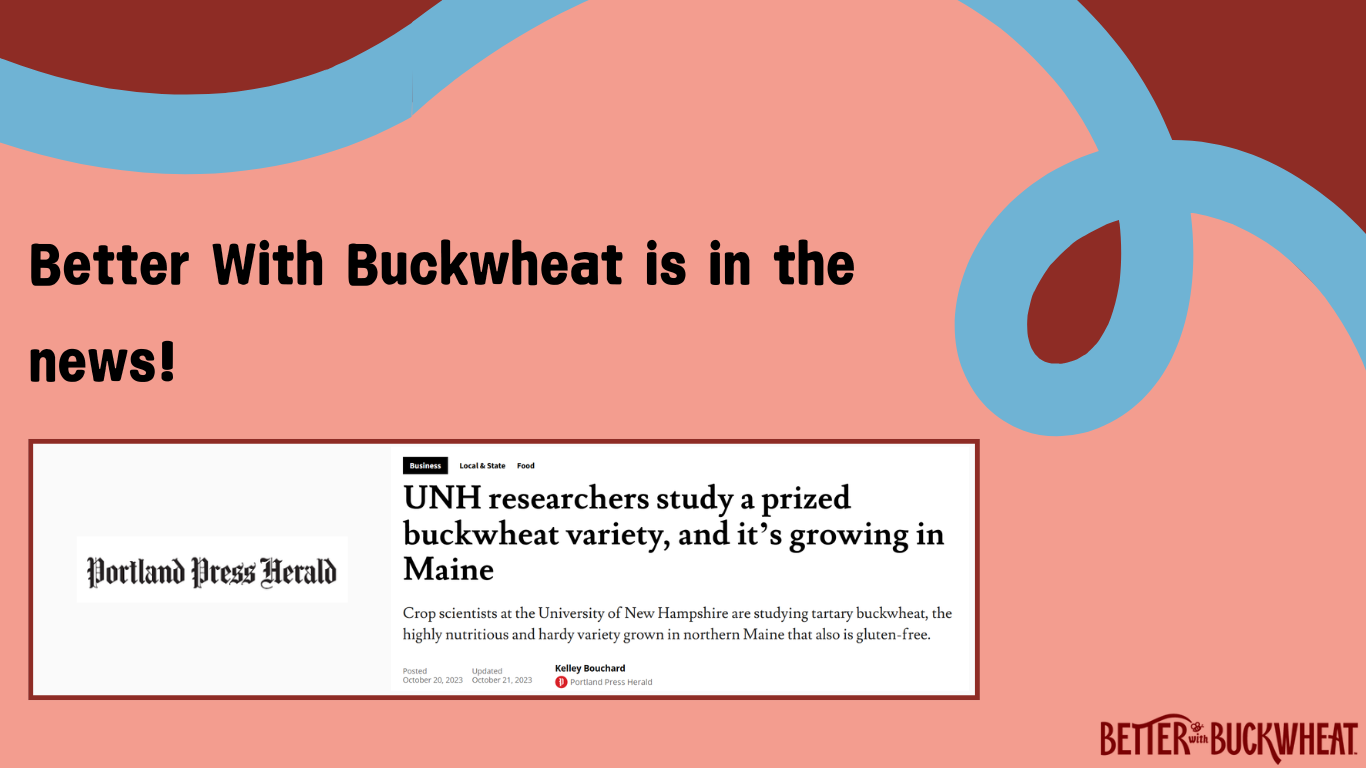 UNH researchers study a prized buckwheat variety, and it’s growing in Maine - Portland Press Herald